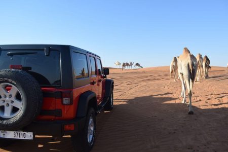 Desert Safari, Quad Bike, Camel Ride and Sandboarding Tour