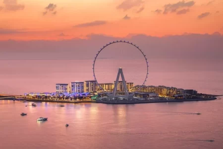 Largest Ferris wheel