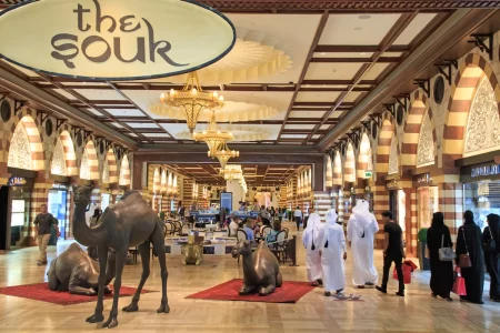 Dubai Shopping Festival Tour Package